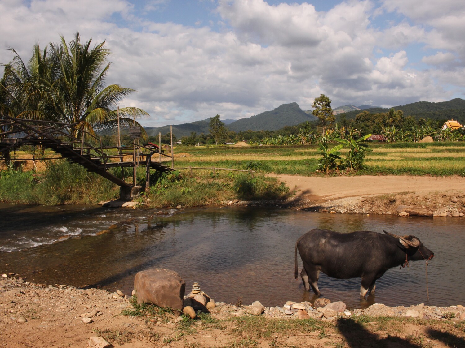 Fattoria di Permacultura Daidib Daidee in Thailandia