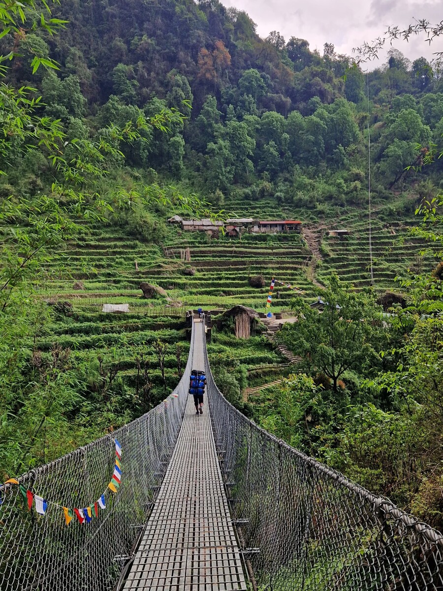 Ponte tibetano e campi terrazzati lungo l'ABC Trek in Nepal