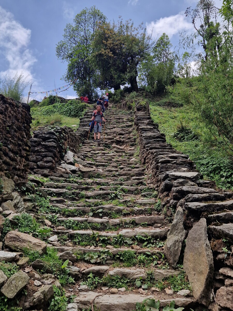 Scalinate infinite lungo il trekking per il Campo Base dell'Annapurna in Nepal